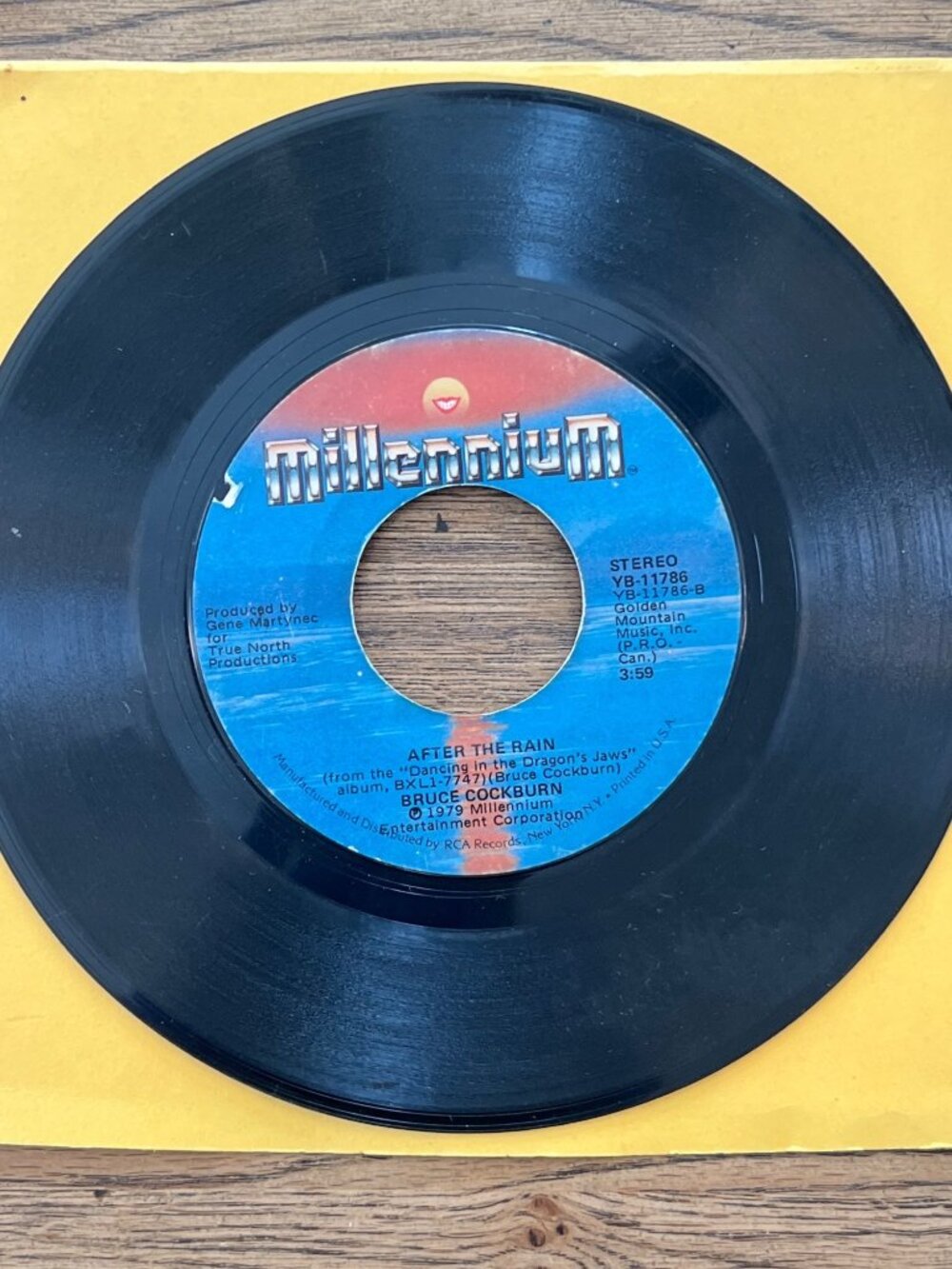 Bruce Cockburn - Wondering Where The Lions Are / After The Rain - Millennium YB-